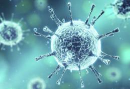 Alarmant! Mulți români au acest virus periculos fără să știe