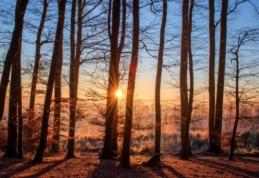 Săptămâna viitoare vremea se încălzește semnificativ