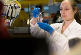 Care este sursa tuturor bolilor