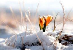 Val de AER POLAR peste România. Prognoza meteo a fost revizuită. Cum va fi vremea până pe 1 aprilie