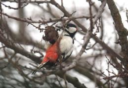 Vremea se va răci în cea mai mare parte a ţării. Când încep ploile