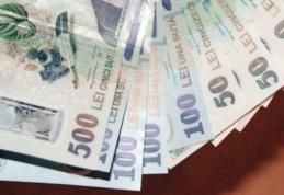 Ajutoare de urgenţă pentru șase de familii din Dorohoi, aprobate de Guvern