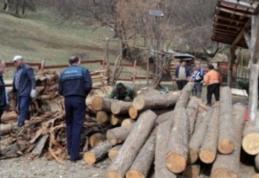 Agent economic amendat cu 10.000 de lei pentru comerţ fără a întocmi şi elibera documente justificative