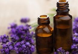Proprietăți terapeutice pe care le deține lavanda