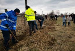 „Luna plantării arborilor” continuă cu o nouă acțiune, de această dată la Vârfu Câmpului – FOTO