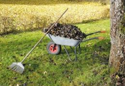 Primăria Municipiului Dorohoi declanșează și în acest an programul de salubrizare „Luna curățeniei”