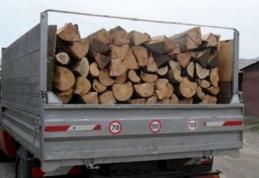 Transport ilegal de lemne, descoperit în trafic de poliţiştii din Dorohoi