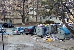 Primim la redacție – Luna „curățeniei” la Dorohoi!