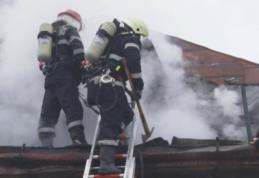 Incendiu la un adăpost de animale din Dumeni! Pompierii dorohoieni au intervenit pentru stingere – FOTO