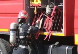 Cal salvat de pompierii dorohoieni după ce a căzut într-o fosă septică la Pădureni