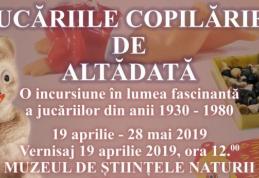 Expoziție de jucării la Dorohoi