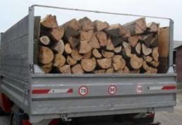 5.000 de lei amendă pentru un transport ilegal de lemne