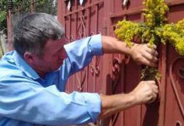 Ce nu ai voie să faci sub nicio formă de Sânziene, luni, 24 iunie! Se vor răzbuna crunt