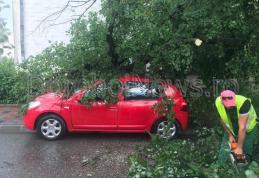 Vijeliile şi grindina fac ravagii: Acoperișuri luate de vânt, drumuri blocate, un copac a căzut peste o maşină la Dorohoi - FOTO