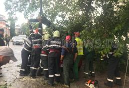 Furtuna i-a pus la grea încercare pe pompierii botoșăneni. Peste 40 de misiuni după furtuna de ieri