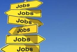 330 locuri de muncă vacante în Spaţiul Economic European