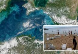 Fenomen ciudat petrecut în Marea Neagră. Turiștii au ieșit rapid din apă: „E anormal. Nu putem sta acolo. N-am mai întâlnit asta!”