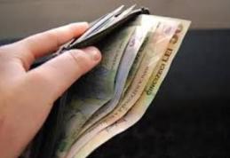 Depistat la scurt timp după ce a sustras portofelul unei consătence pe care o ajuta la treburi în gospodărie