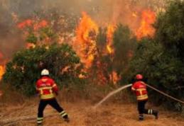 Avertizări de călătorie pentru Grecia și Portugalia: Risc de incendii și temperaturi ridicate