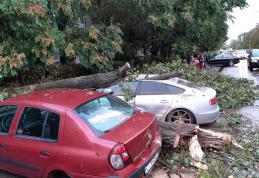 Fenomene meteo extreme în țară: Imagini incredibile la Constanța, copii luați de ape în Prahova și Tulcea, trafic blocat pe Transalpina - FOTO
