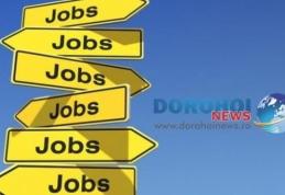 453 locuri de muncă vacante în Spaţiul Economic European