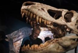 Descoperire: Tyrannosaurus Rex avea un „aparat de aer condiționat” în craniu