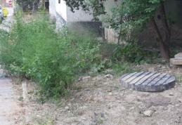Primim la redacție – „De 20 de ani, niciodată nu s-a tăiat și aici iarba” - FOTO
