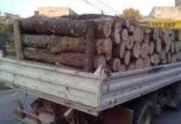 Material lemnos confiscat de poliţişti la Flămânzi