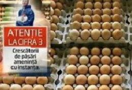 Ouale inscriptionate cu cifra 3 vor fi interzise - afla de ce