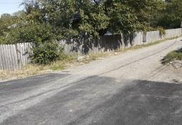 Primim la redacție – „Strada Aprodul Purice din Dorohoi - aici se termină civilizația” - FOTO