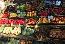 Zilele Recoltei organizate la Dorohoi s-au încheiat pe un ton oficial și de spectacol - FOTO