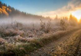 Vine frigul! Un val de aer polar va scădea temperaturile în toată țara