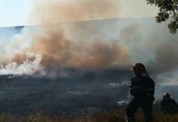 Pompierii dorohoieni în alertă! Zeci de hectare de vegetație distruse de mai multe incendii - FOTO