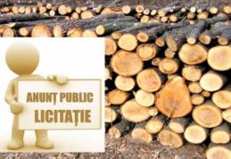 ANUNȚ: Liceul Anastasie Bașotă Pomârla organizează licitație pentru vânzare de masă lemnoasă