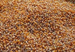 Peste 44 tone de porumb confiscate de polițiști în urma unui transport ilegal