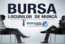 401 locuri de muncă anunţate până la această dată la Bursa locurilor de muncă pentru absolvenți