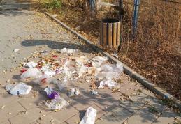 Primim la redacție – „Rugăm organele abilitate să schimbe coșul de gunoi cu unul acoperit”