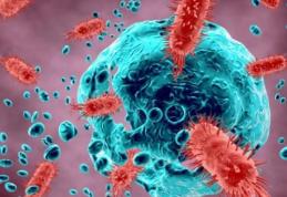 Alertă la granița României. Boală extrem de contagioasă depistată în Ucraina!