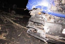 Accident! Căruță plină cu lemne spulberată de un camion