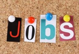 4.519 persoane angajate prin intermediul AJOFM BOTOȘANI