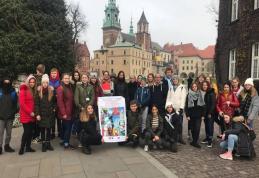 Şcoala Gimnazială „Mihail Sadoveanu” Dumbrăviţa - Activităţi de predare-învăţare-formare Proiect Erasmus+ Ka 229 în Polonia - FOTO
