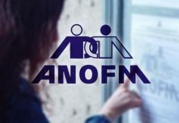 Agenţia Naţională pentru Ocuparea Forţei de Muncă aniversează 21 de ani de activitate