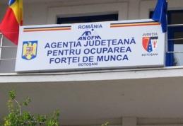 4.994 persoane angajate prin intermediul AJOFM BOTOȘANI