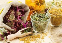 Trei plante care te ajută să-ţi reglezi tensiunea