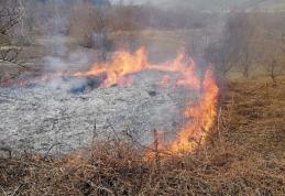 Două incendii de vegetație uscată, în mai puțin de o oră