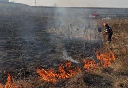 Incendiu de vegetație la marginea Botoșaniului. Focul a ajuns la casele din apropiere și lângă un fost depozit - FOTO
