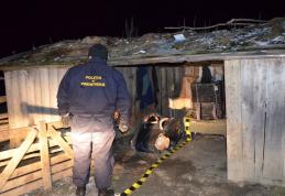 Ţigări de contrabandă ascunse la o stână, descoperite de polițiștii de frontieră de la Darabani - FOTO