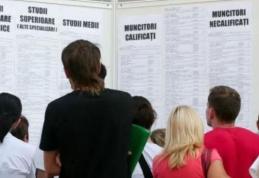 373 persoane angajate în luna ianuarie prin intermediul AJOFM BOTOȘANI