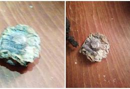 Agoniseala de-o viață i s-a făcut scrum la bătrânețe