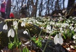 Vremea se încălzeşte în weekend. Cum va fi prima săptămână din martie!